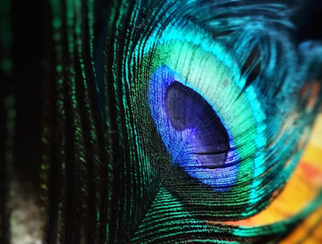 Color Therapy: Perspectives from Ayurveda
