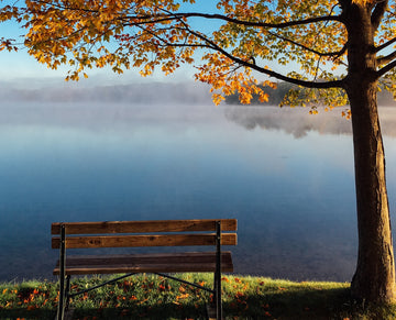The Science of Vata Dosha: Exploring Imbalance in Fall
