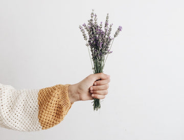The UMA Oils Files: Lavender 101