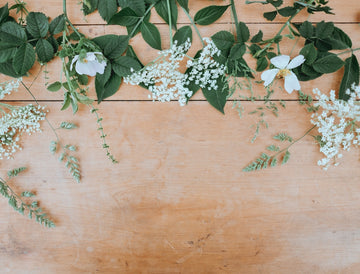 An Ode to Aromatherapy