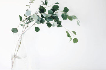 Your Guide to Pure & Natural Ingredients
