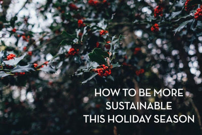How to Be More Sustainable this Holiday Season
