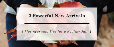 3 Powerful New Arrivals + Practical Guide to a Happy Fall