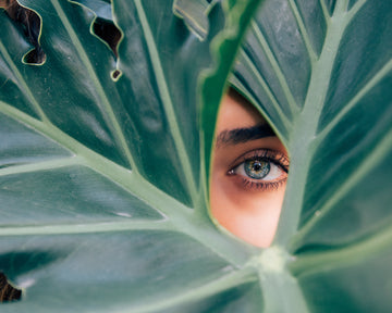Ayurvedic Guidance for Rosacea, Eczema and Adult Acne