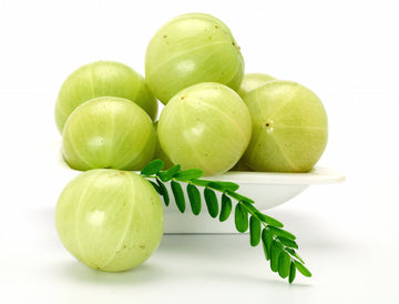 The UMA Oil Files: Indian Gooseberry Oil 101