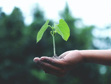 At UMA, We’re Committed to a Sustainable Future—and Here’s How