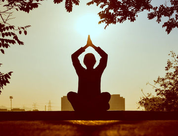 Balancing Agni: How the Doshas & Agni Interact