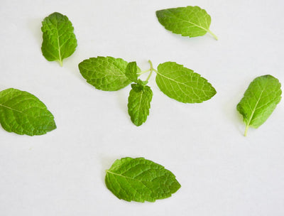 Ayurvedic Spice Cabinet: How Peppermint Boosts Energy, Combats Acne & More